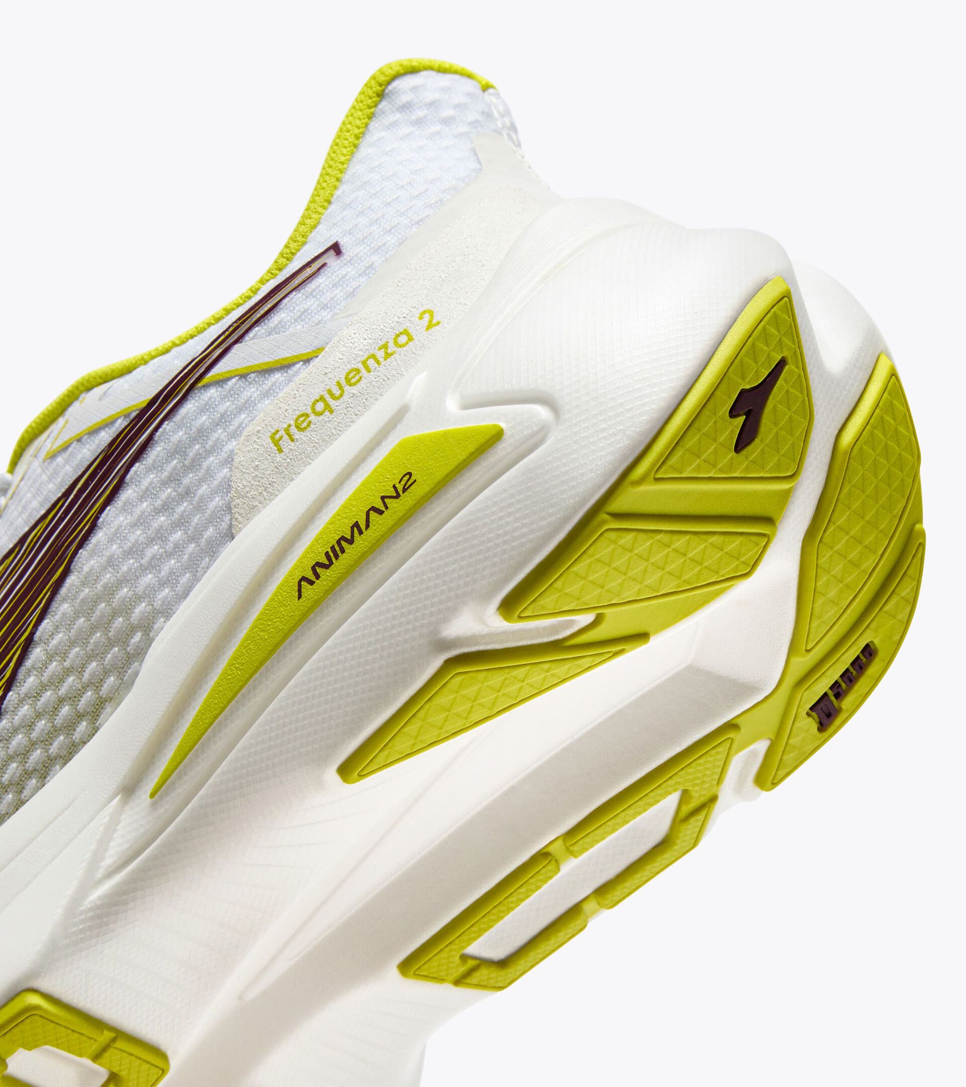 Frequenza 2 - Women's