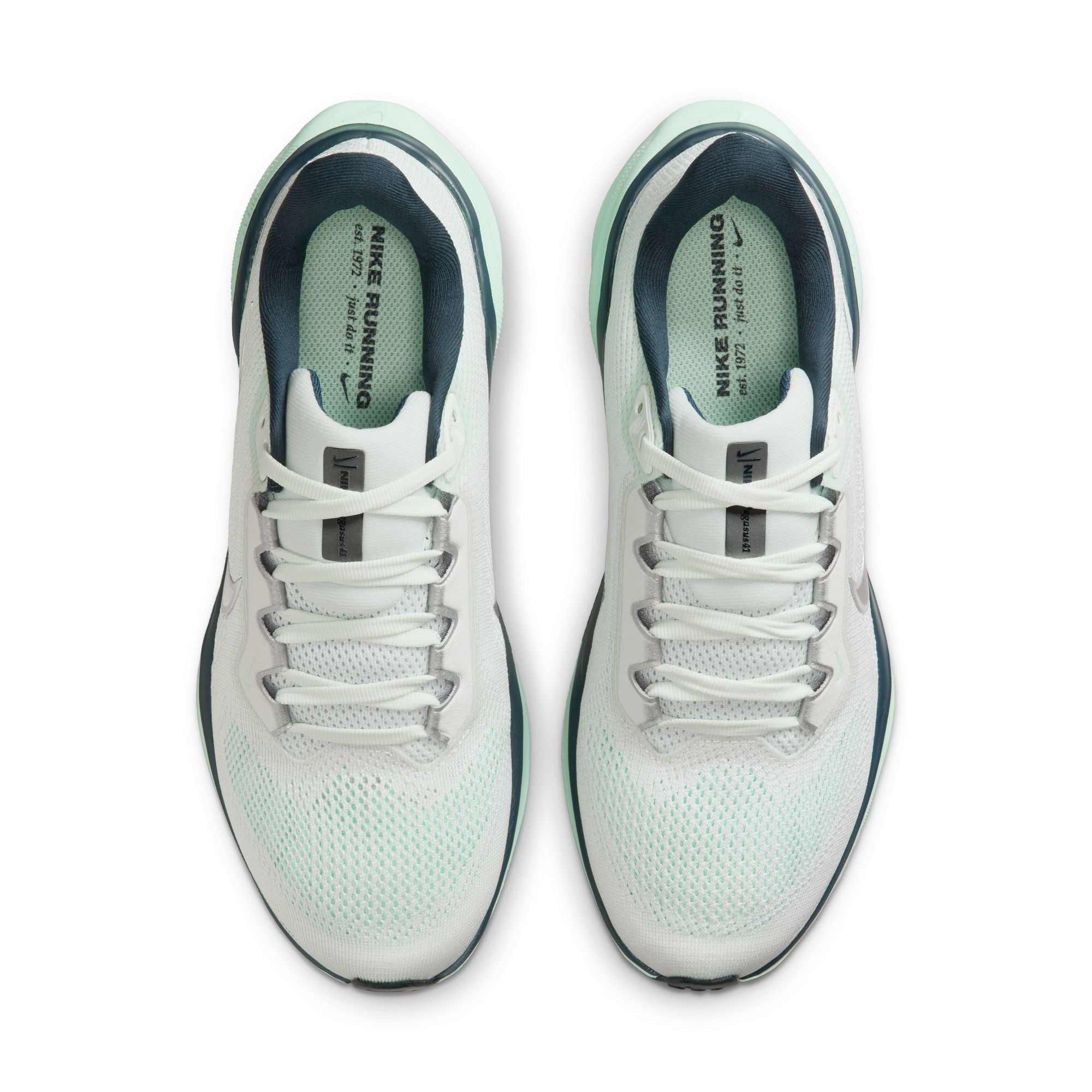 Pegasus 41 - Women's