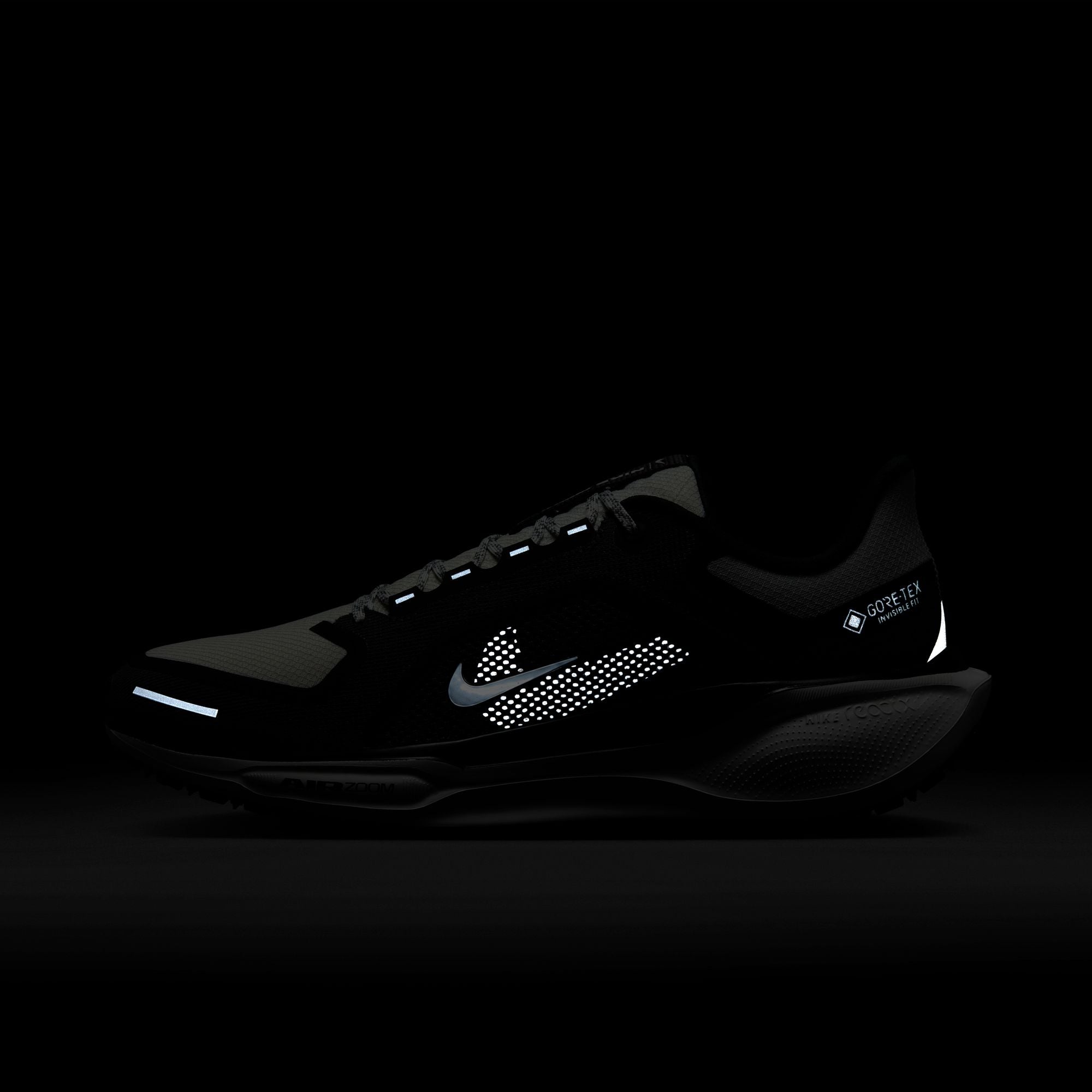 Pegasus 41 GTX - Men's