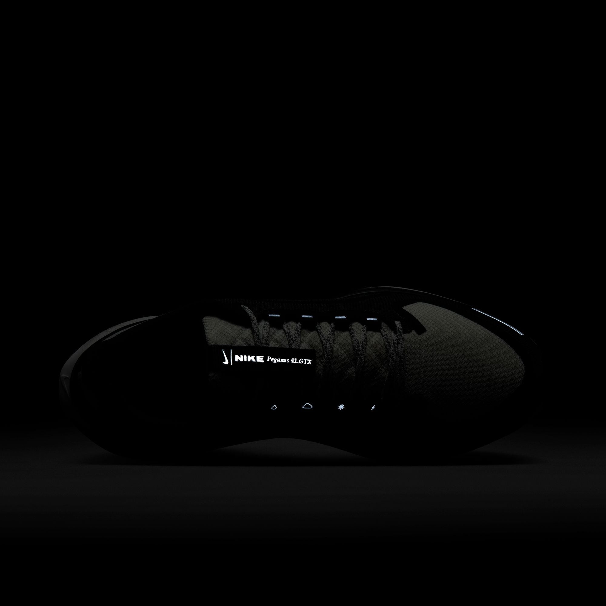 Pegasus 41 GTX - Men's