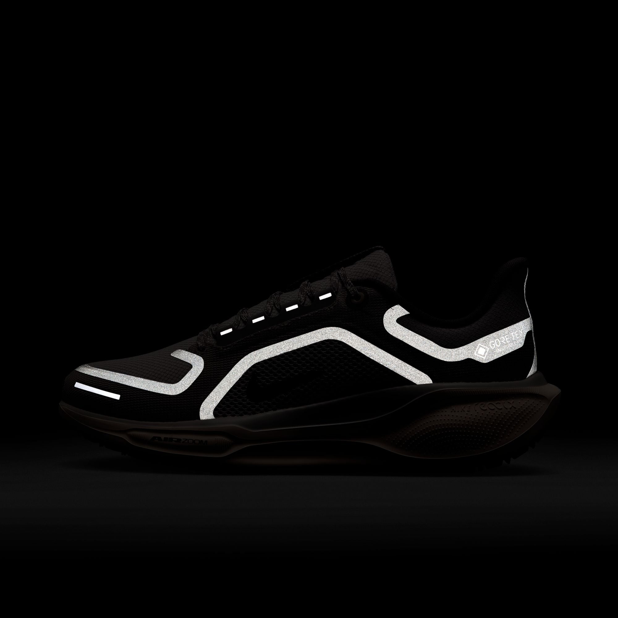 Pegasus 41 GTX - Women's