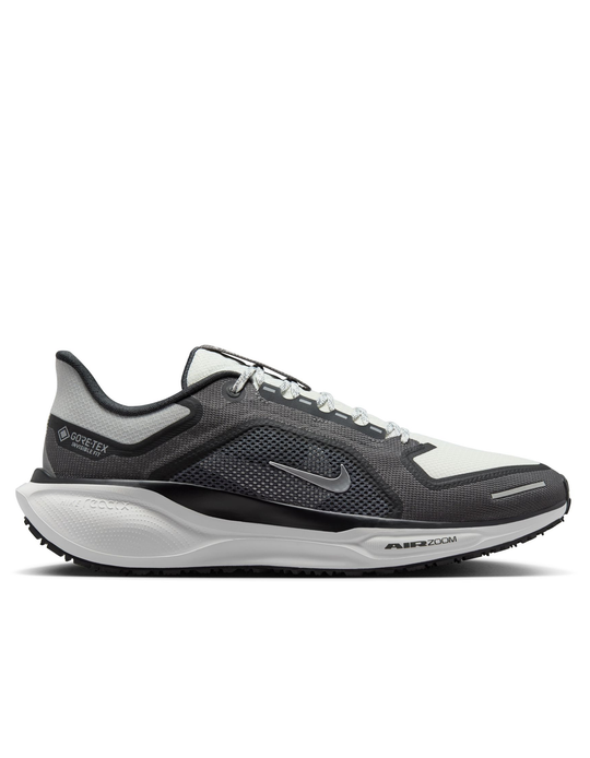 Pegasus 41 GTX - Men's