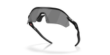 Radar Plate - Polarized