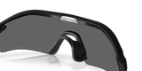 Radar Plate - Polarized