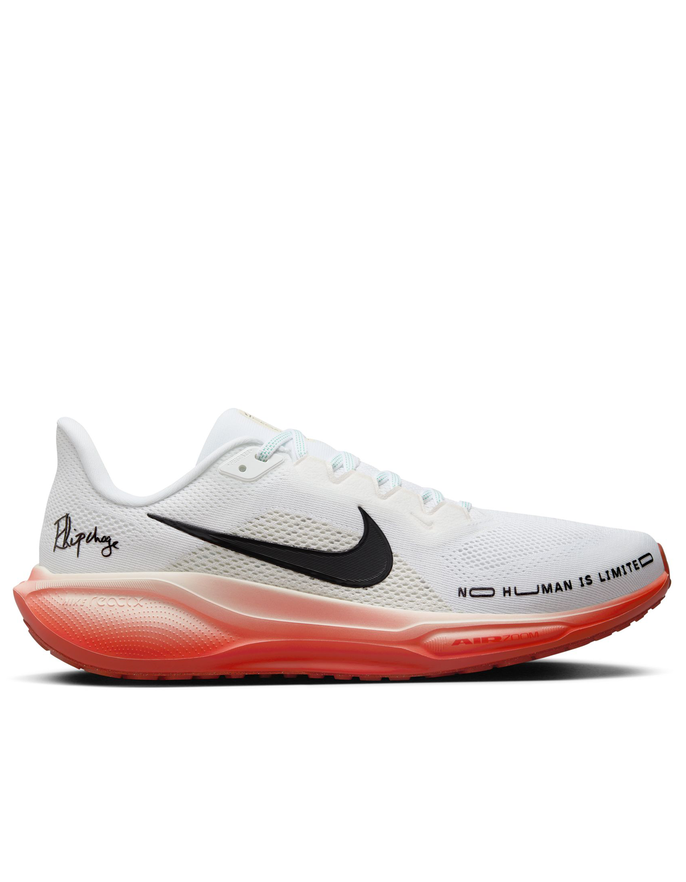 Nike Eliud Kipchoge Pegasus 41 Men s 8