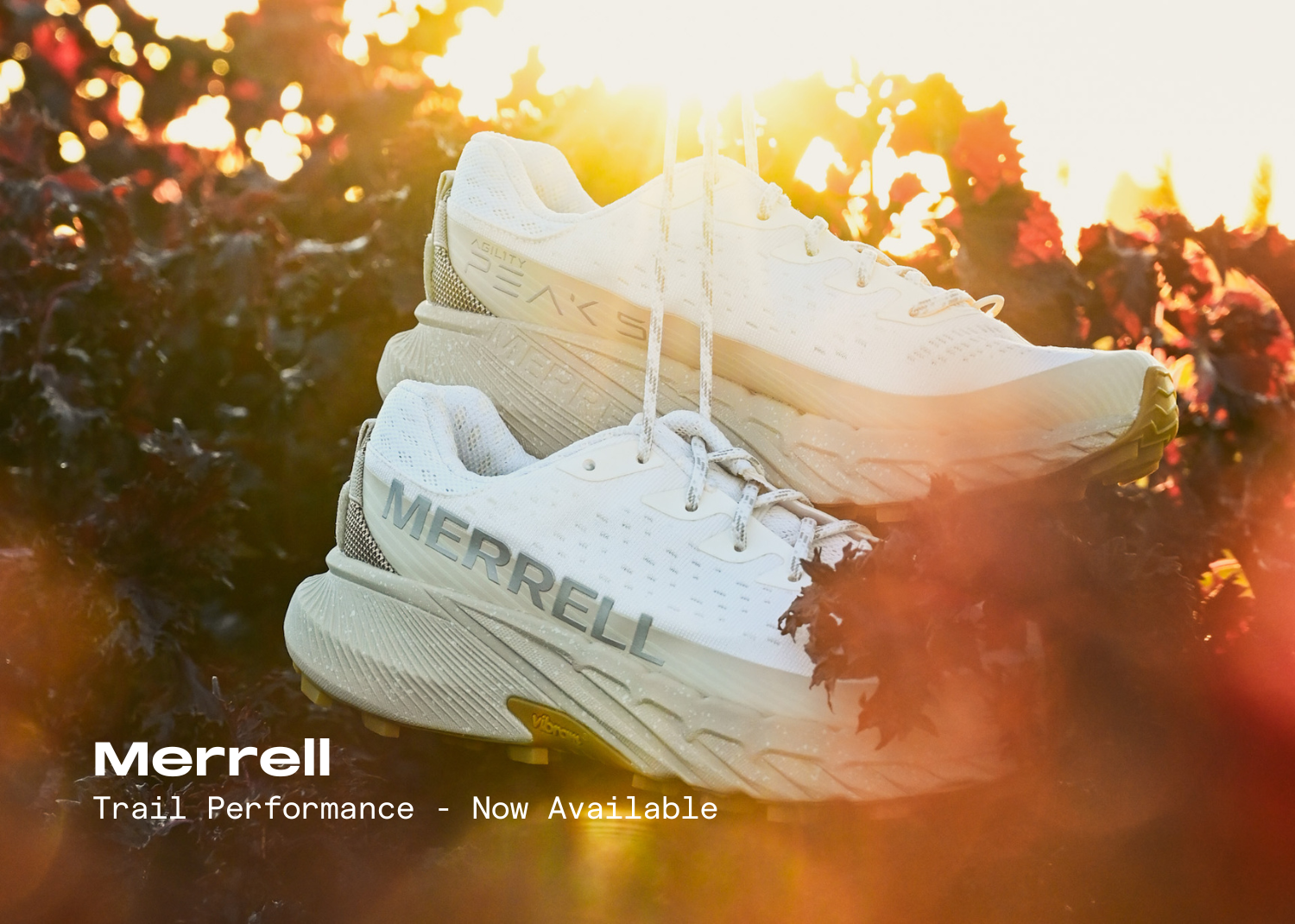 image one unavailable