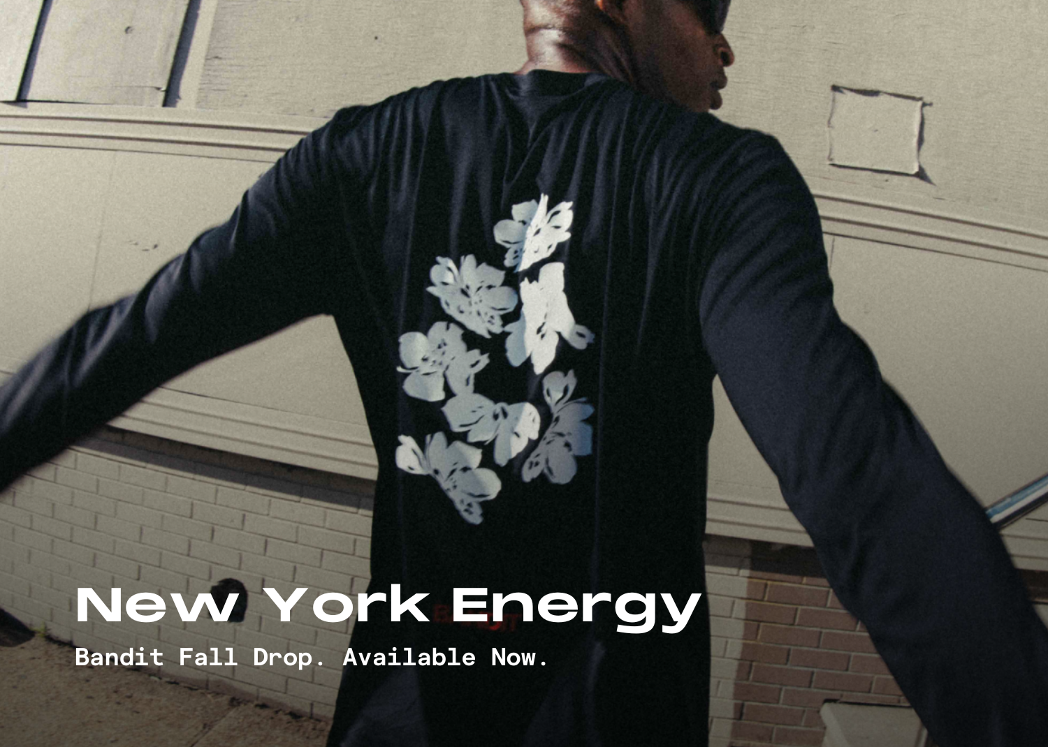 image one unavailable