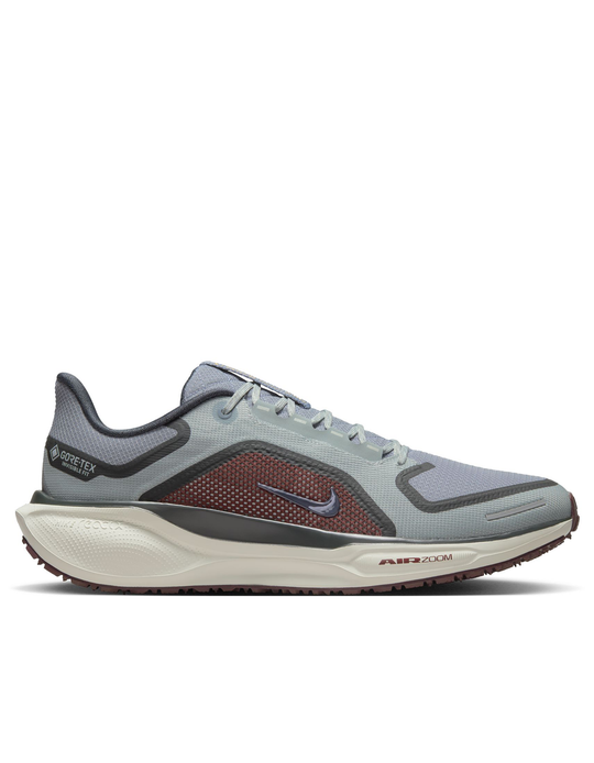 Pegasus 41 GTX - Men's
